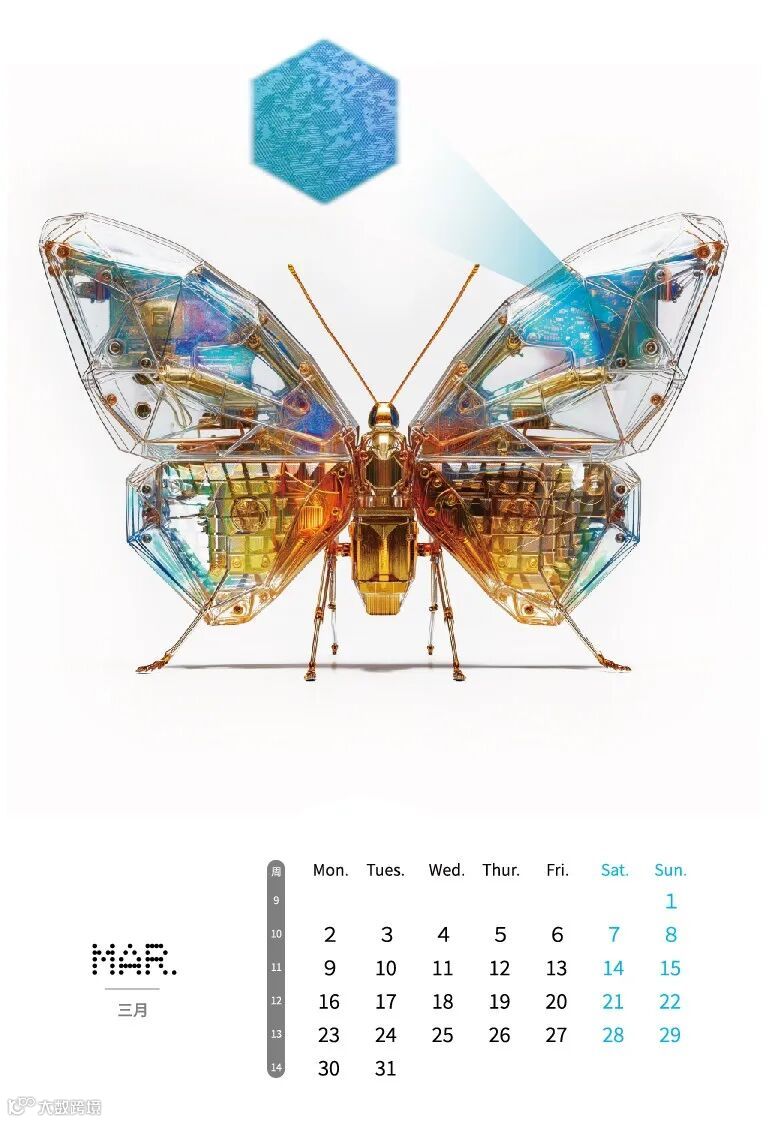 2026 microcosm calendar_纹-3.jpg