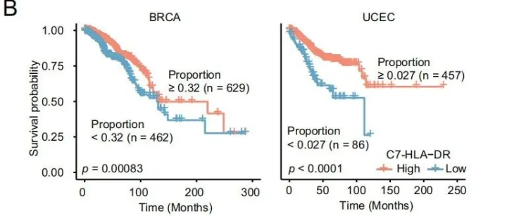 单细胞数据里的生存分析怎么做？（超详细代码~）