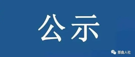 关于那曲市2026年智慧人力资源市场运维企业供应商遴选结果的公示