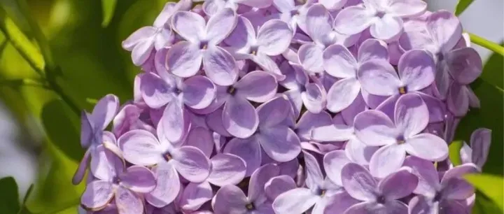 小时候都不懂的文章，长大了才有感悟