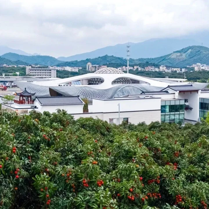 “广货行天下”中的<em>茂名</em>力量⑤ | 山海<em>茂名</em>如何答好“广货行天下”的时代之问