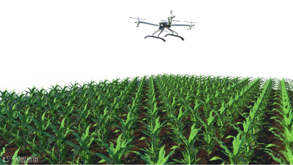 田间无人机式植物高通量表型采集分析平台.png