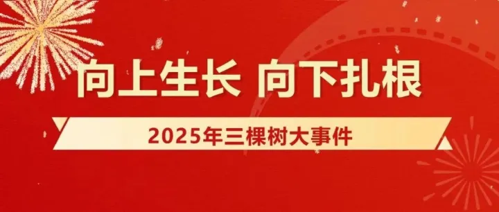 向上生长 向下扎根丨2025年三棵树大事件回顾