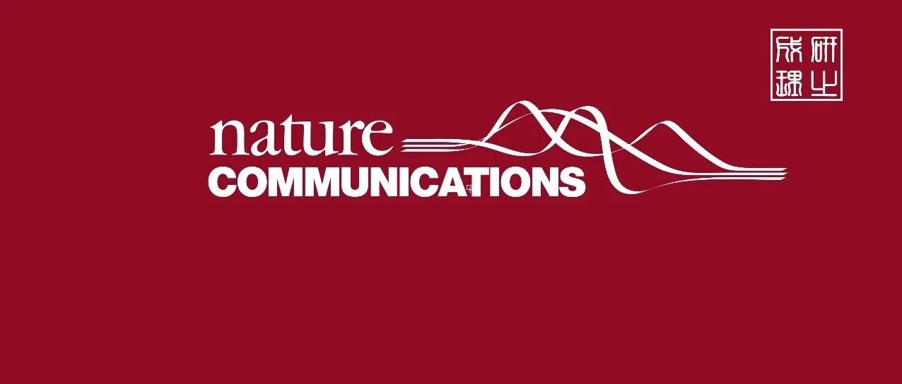 浙江工业大学李小年朱艺涵田金树团队Nature子刊:一个晶面,打破活性-选择性-稳定性权衡- 大数跨境