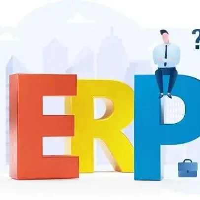 一个人开发整套ERP？听起来荒唐，却真有人敢干还干成！