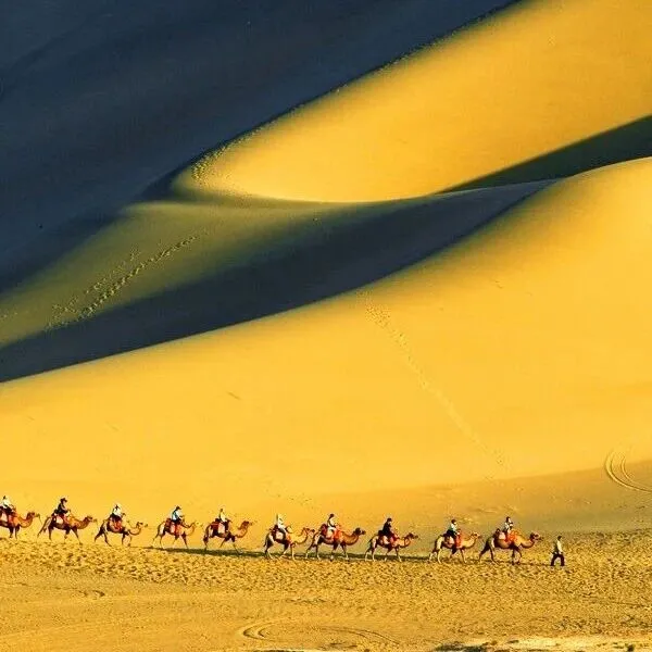 【Gansu Echo】古道新章：河西走廊的千年通途