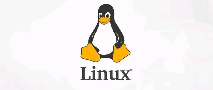 Linux学习之dd命令使用