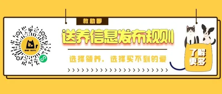 【救助圈】送养信息发布规则，送养指南，调查问卷，领养协议~