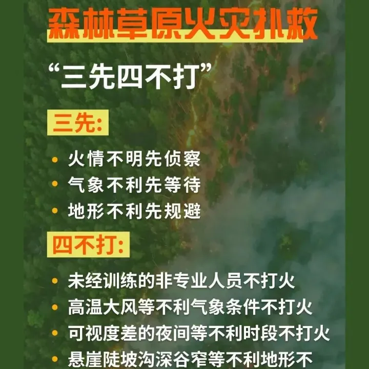 森林草原防灭火丨时刻绷紧安全弦