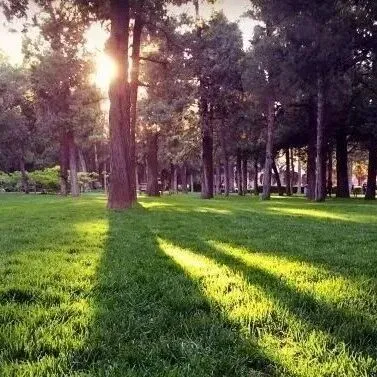 气象科普 | 春天的天气变幻无常，为何忽冷忽热？