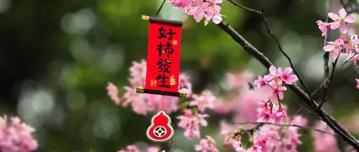 致敬巾帼力量·凝聚奋进初心——中武电商工会开展“三八”妇女节观景、会员观影活动