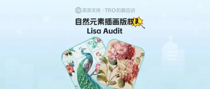 25次维权！4800+账户遭冻结！Lisa Audit版权风暴席卷跨境圈，还有多少卖家身处雷区不自知？