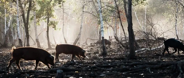耗時390天，我們在<em>大興安嶺</em>，蓋了一座“會呼吸”的工廠