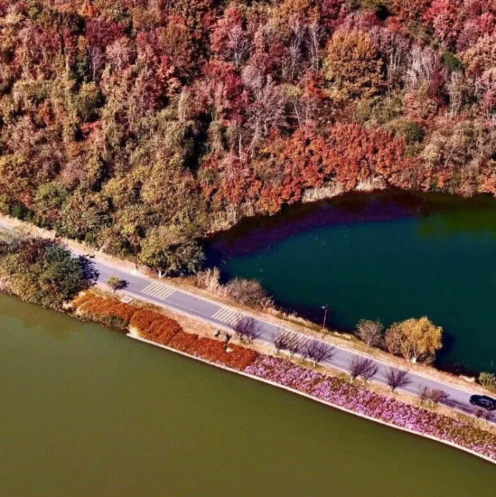 <em>池州</em>农村，不再“千路一面”！