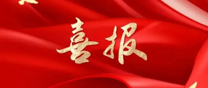 喜报！袁欣凯荣获上海市档案系统先进个人