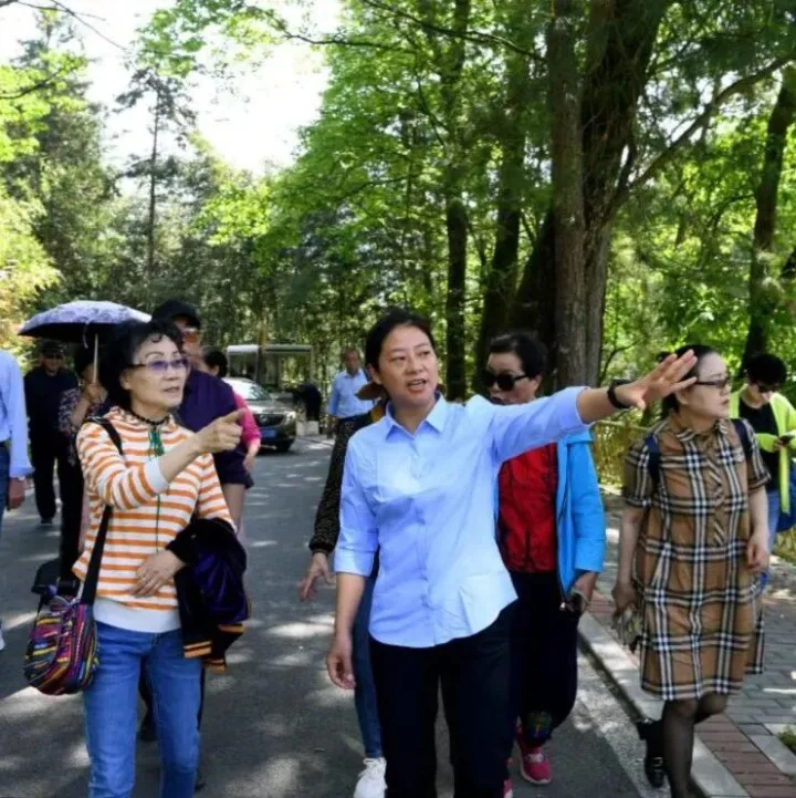 两会现场速递丨“皖”美逆袭！走出贫困的大别山古村邀客来