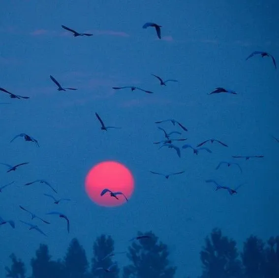 践行“三严三实” 书写“皖美答卷”