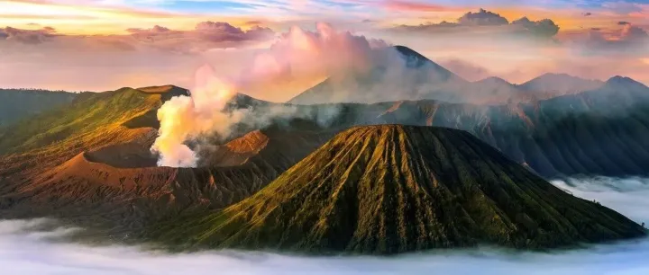 印尼公司报告：Profil Lengkap与Profil Terakhir的区别解析