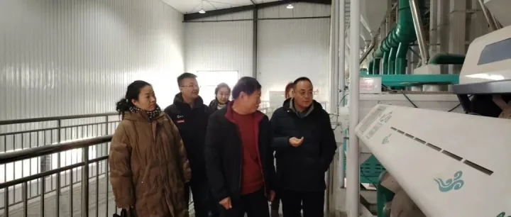 精准检查强监管 筑牢防线保安全阿拉善盟农畜产品质量安全中心扎实开展节前安全生产检查检测工作