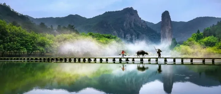 20年交易感悟，几经爆仓、盈利，最终我靠机械式交易系统逆袭！