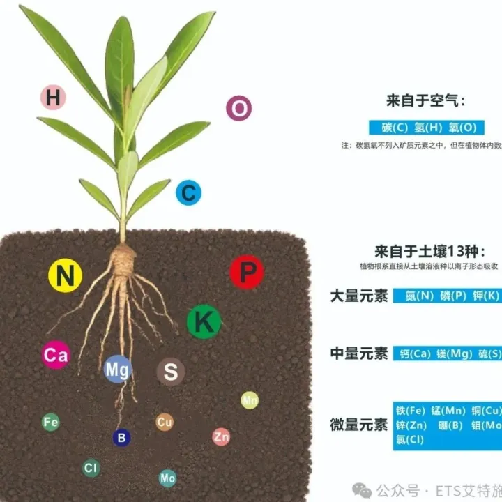 植物必需的16营养元素及其生理功能