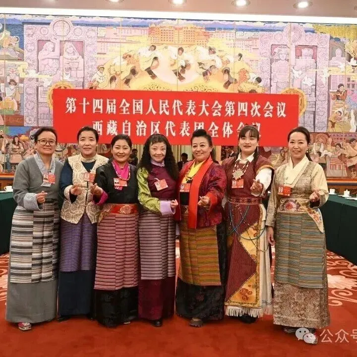 兩會(huì)“她力量”！西藏女代表委員四年履職超亮眼