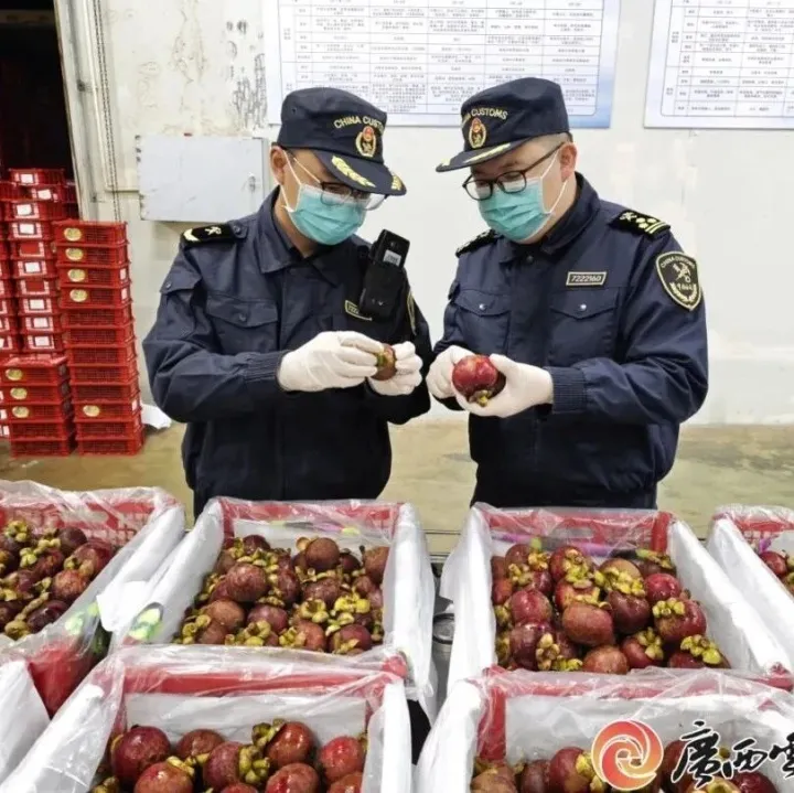 钦州港忙而有序 货物加速通关