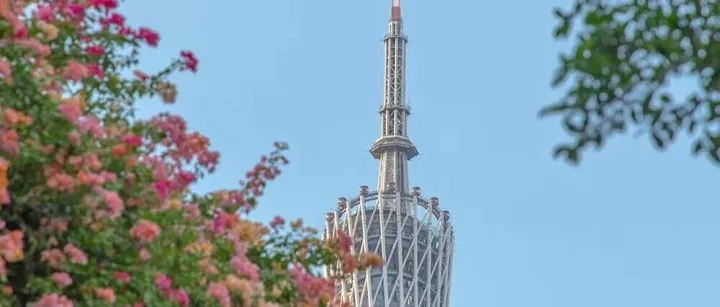 直冲25℃！广州未来一周阳光在线，赏花正当时！