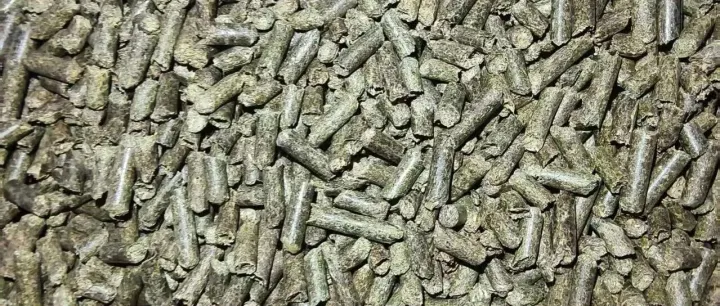 西班牙苜蓿颗粒首批245吨到港青岛