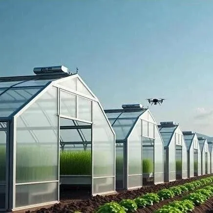 AI软件在农业领域的核心应用场景