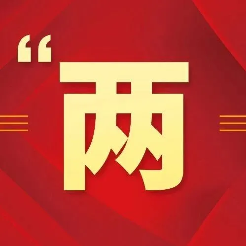 聚焦“两会”丨看过来！公司2025年度光荣榜新鲜出炉！