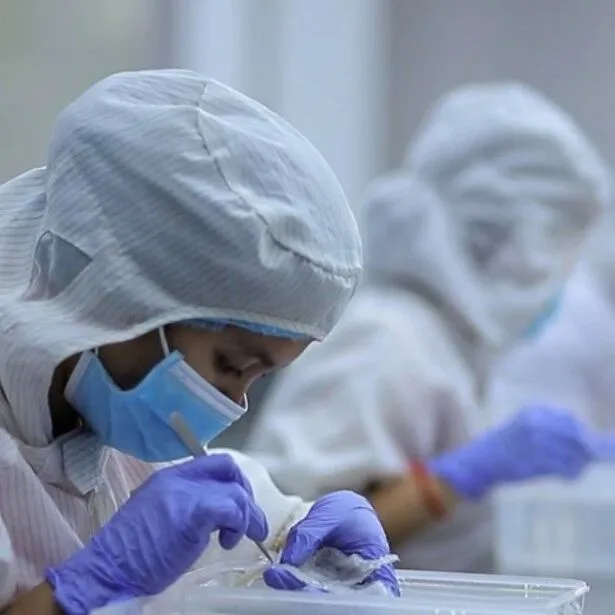 798家燕屋备战！柬埔寨燕窝有望今年出口中国，6家加工厂排队等审批