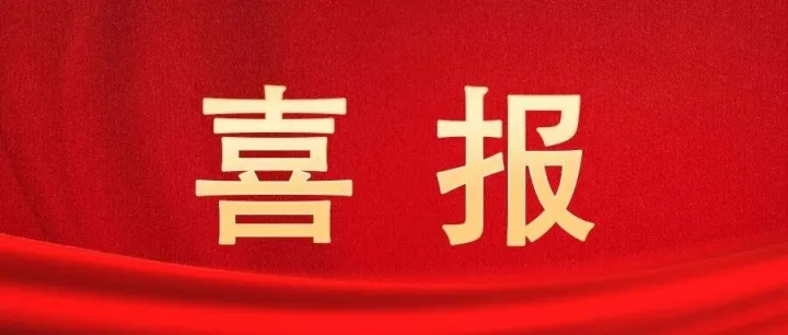 喜报丨国网蒙东电力4个集体和4名个人获国网公司表彰