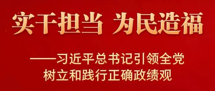 实干担当 为民造福——习近平总书记引领全党树立和践行正确政绩观