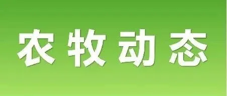 【农牧动态】自治区农牧厅组织召开农牧业对外开放座谈会
