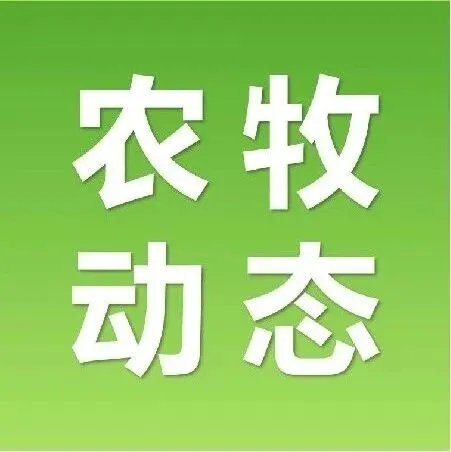 【农牧动态】内蒙古多举措出硬招  打好粮食生产开局战