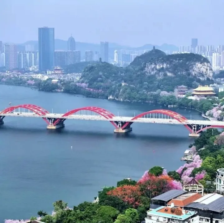 超级交易员论坛 · 柳州