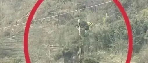 <em>乐山</em>“黑飞”无人机违法吊装货物缠上高压线被行拘