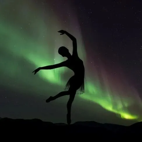 我国前2月进出口数据出炉