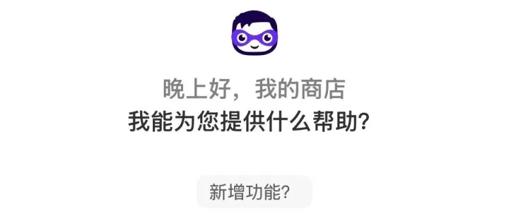 <em>shopify</em> AI 写新功能