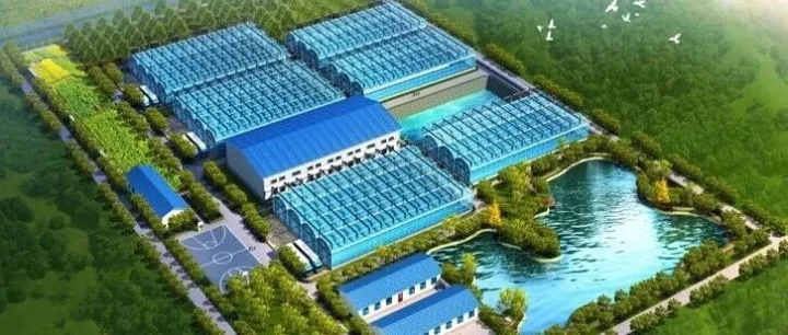 内陆造海，向海而生：君匠大农重构海洋经济新范式