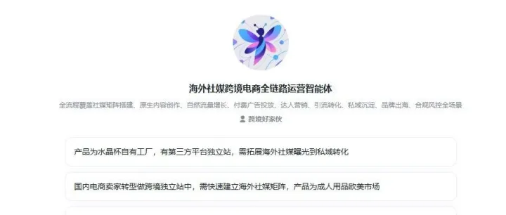 海外社媒跨境电商全链路运营智能体