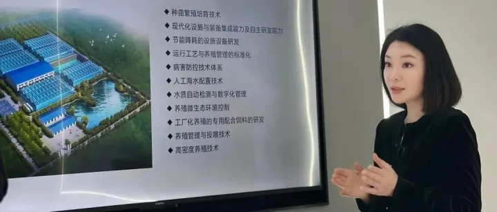 创业十年后，她让“石斑鱼”产量实现传统养殖的百倍以上 | 新质生产力