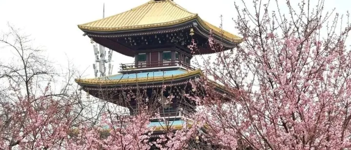 超级交易员论坛·武汉