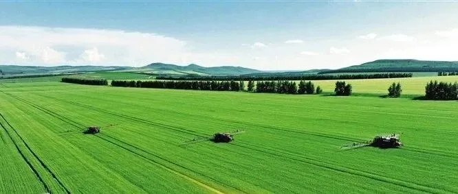 印度新种子法案出台，400家种企混战，谁是大赢家？