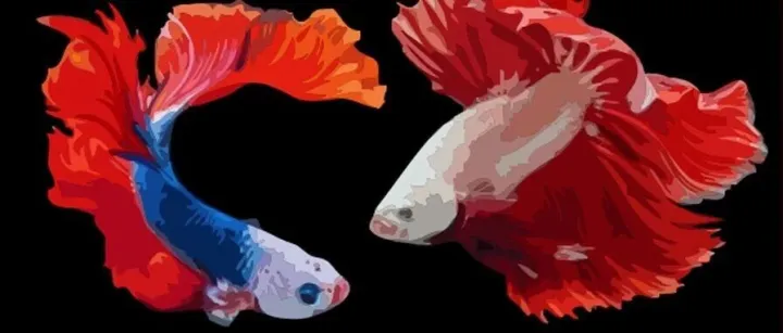 AI图片放大工具！糊图秒变高清SVG，放大100倍也不糊！