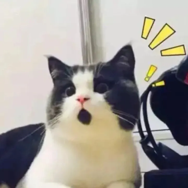 头部私募实控人高校背景大揭秘！这些大佬们竟都是校友！