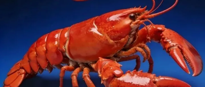 openclaw大火！它會(huì)改變跨境電商，但不是明天