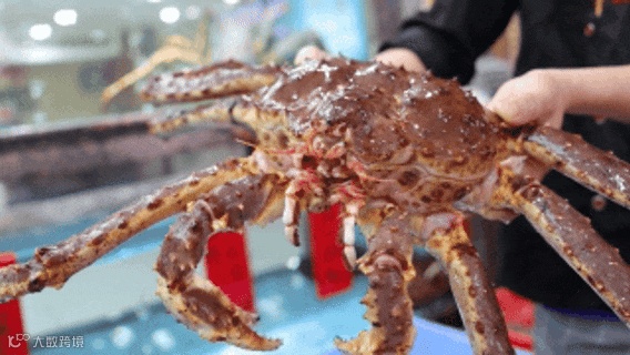 1月23日 (1)(7).gif