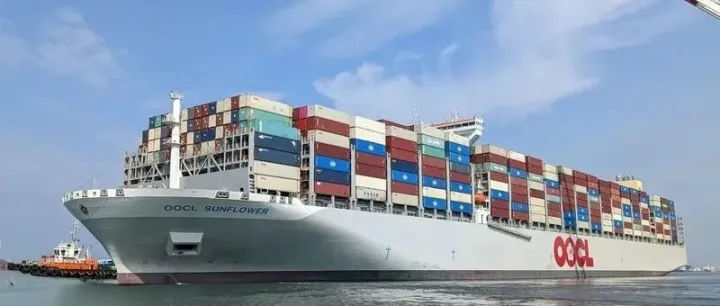 <em>L</em>超大集装箱船遭遇恶劣天气，57个集装箱落水